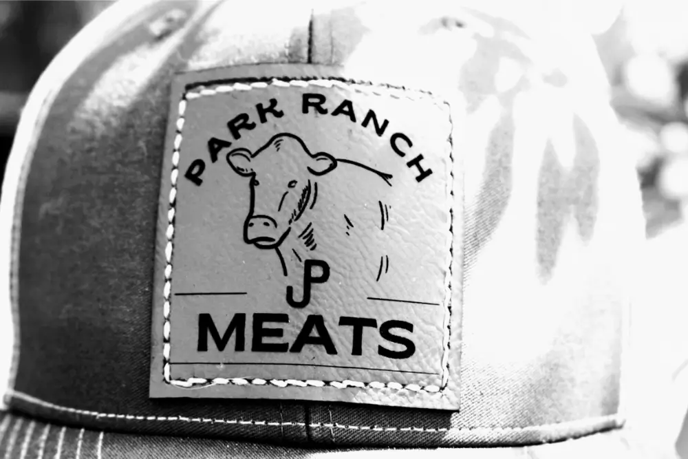 Bundesliga Games Today