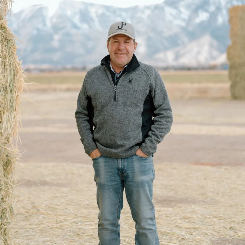 Bundesliga Games Today